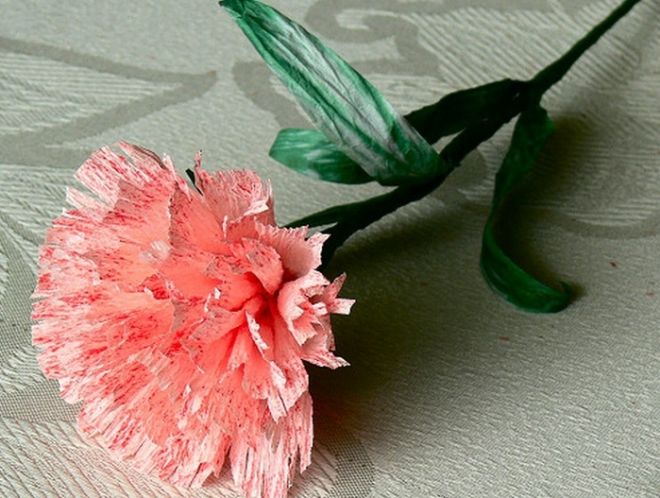 foto di decorazioni con garofani su tovagliolo