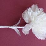 Foto di opzioni fai da te per garofani su tovaglioli