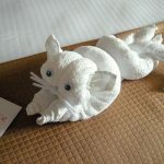 giocattoli per gatti in asciugamano