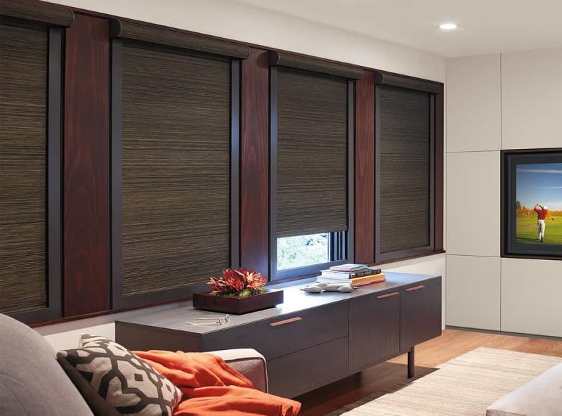 Tende a rullo a cassetta in una sala home theater