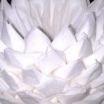 foto di design di loto da tovaglioli