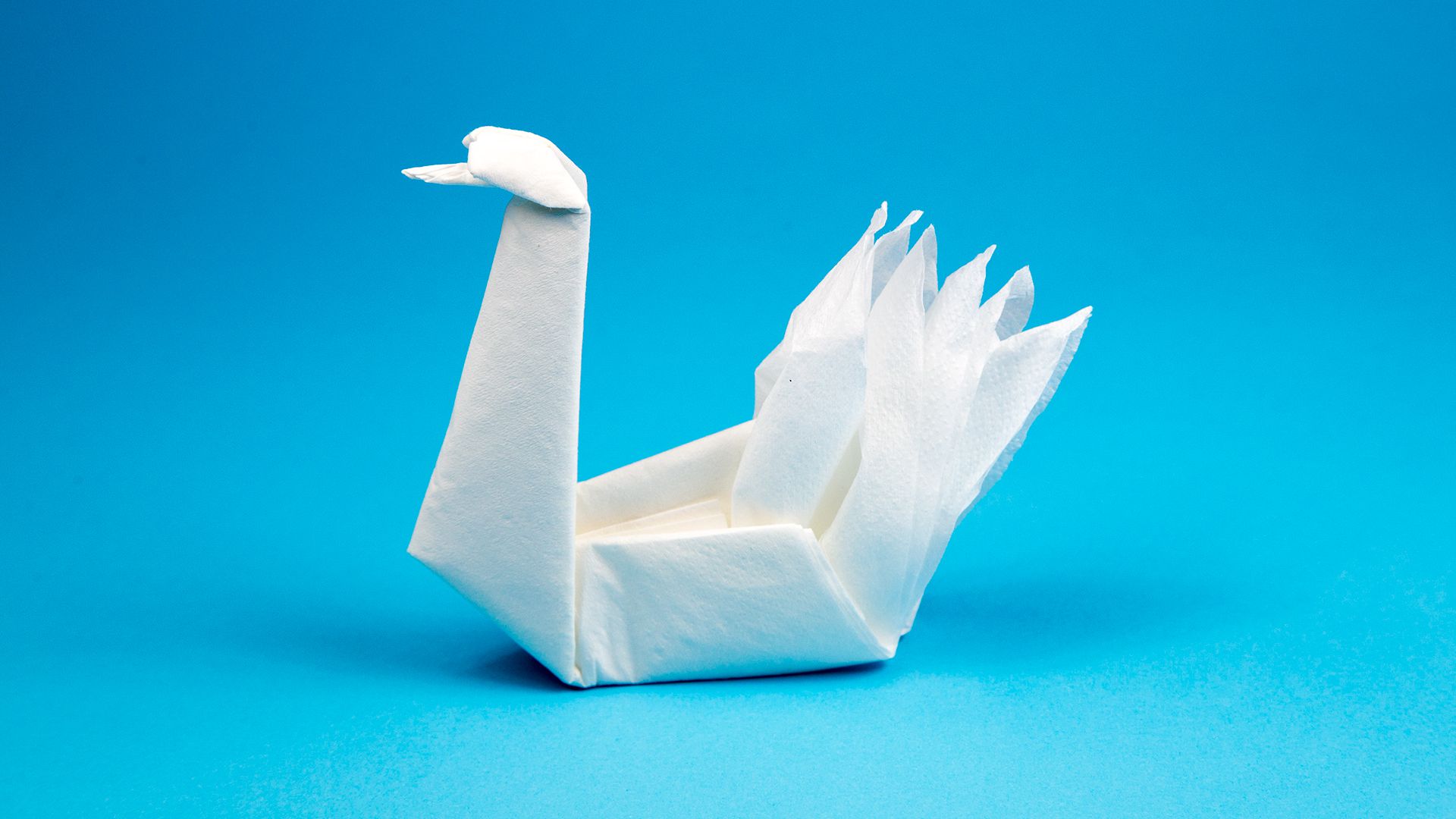 cigni origami