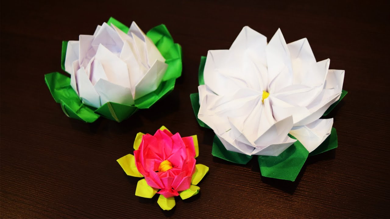 origami giglio ninfea