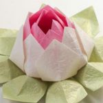 come realizzare fiori di loto con i tovaglioli