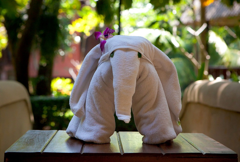 elefante da asciugamano