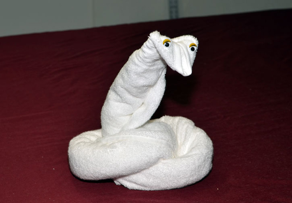serpente dall'asciugamano