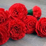 tovagliolo con decorazione a garofano