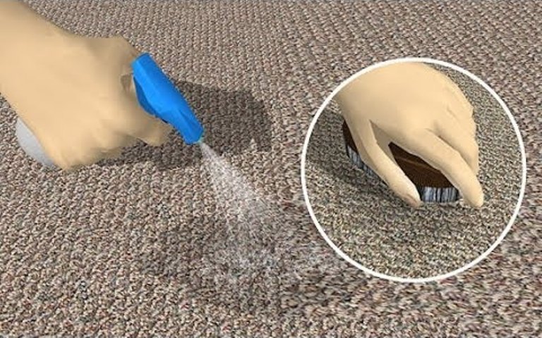 eliminare l'odore di urina di gatto dal tappeto