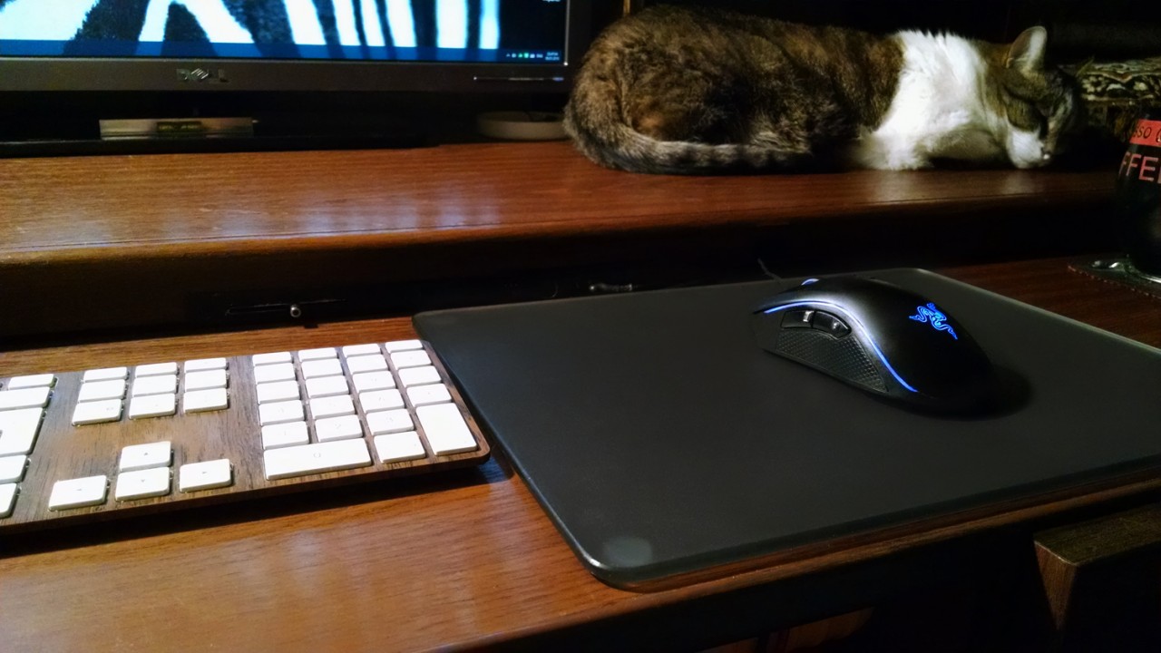 opzioni per foto del tappetino per mouse del computer