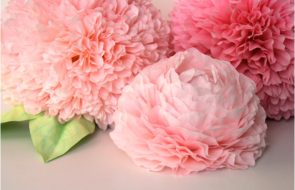 peonia da un tovagliolo