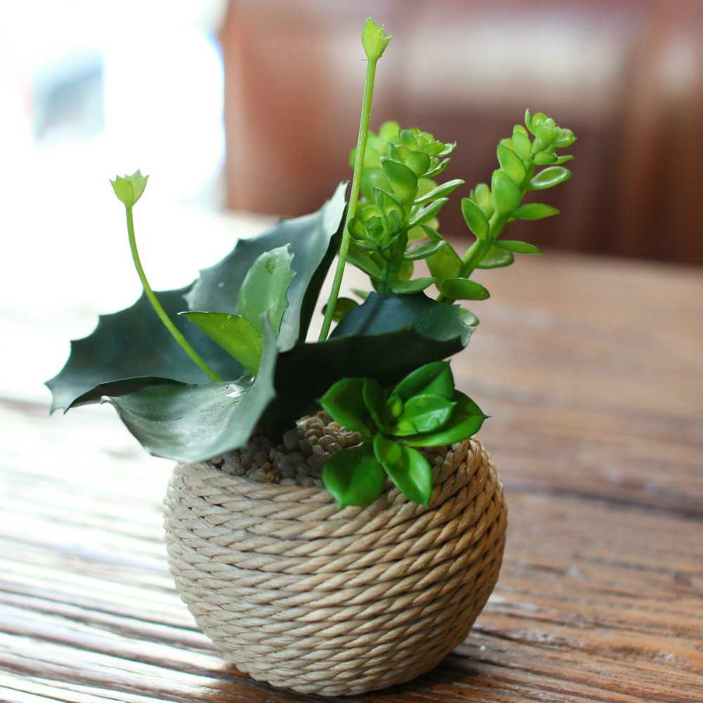 decorare un vaso con lo spago