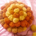cuscino decorativo
