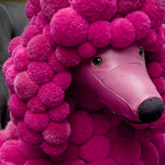 giocattoli pompon