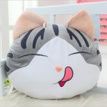 opzioni per foto di gatti con cuscino