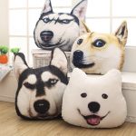 idee per foto di cani con cuscino