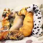 idee per cuscini per cani
