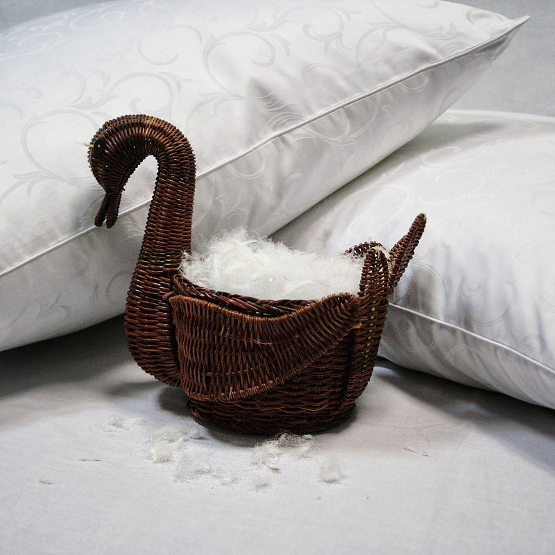 cuscini di piumino di cigno