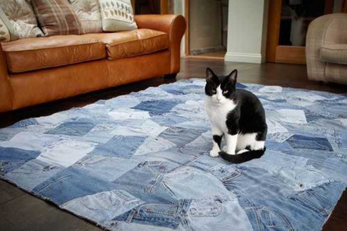 tappeto di jeans e gatto