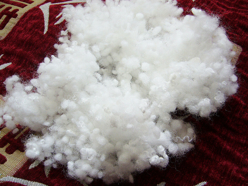 olofibra elastica