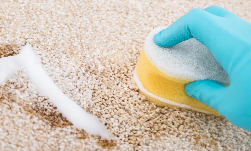 pulire il tappeto con Vanish