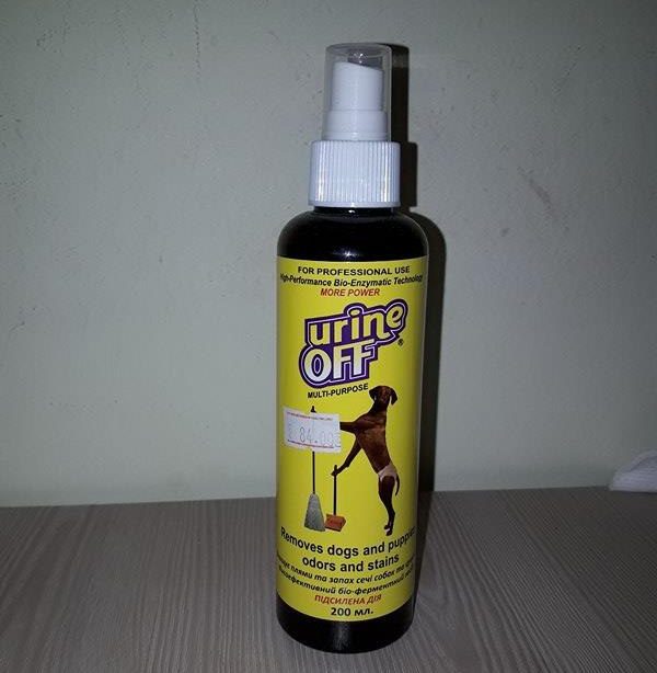 rimuovi-odore di urina di cane