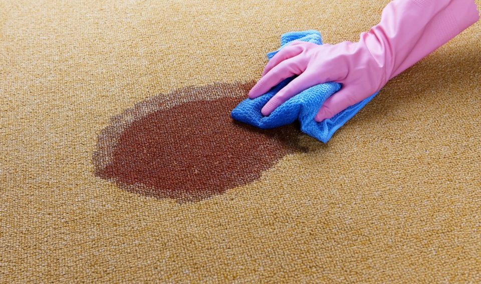 rimuovere l'odore di birra dal tappeto