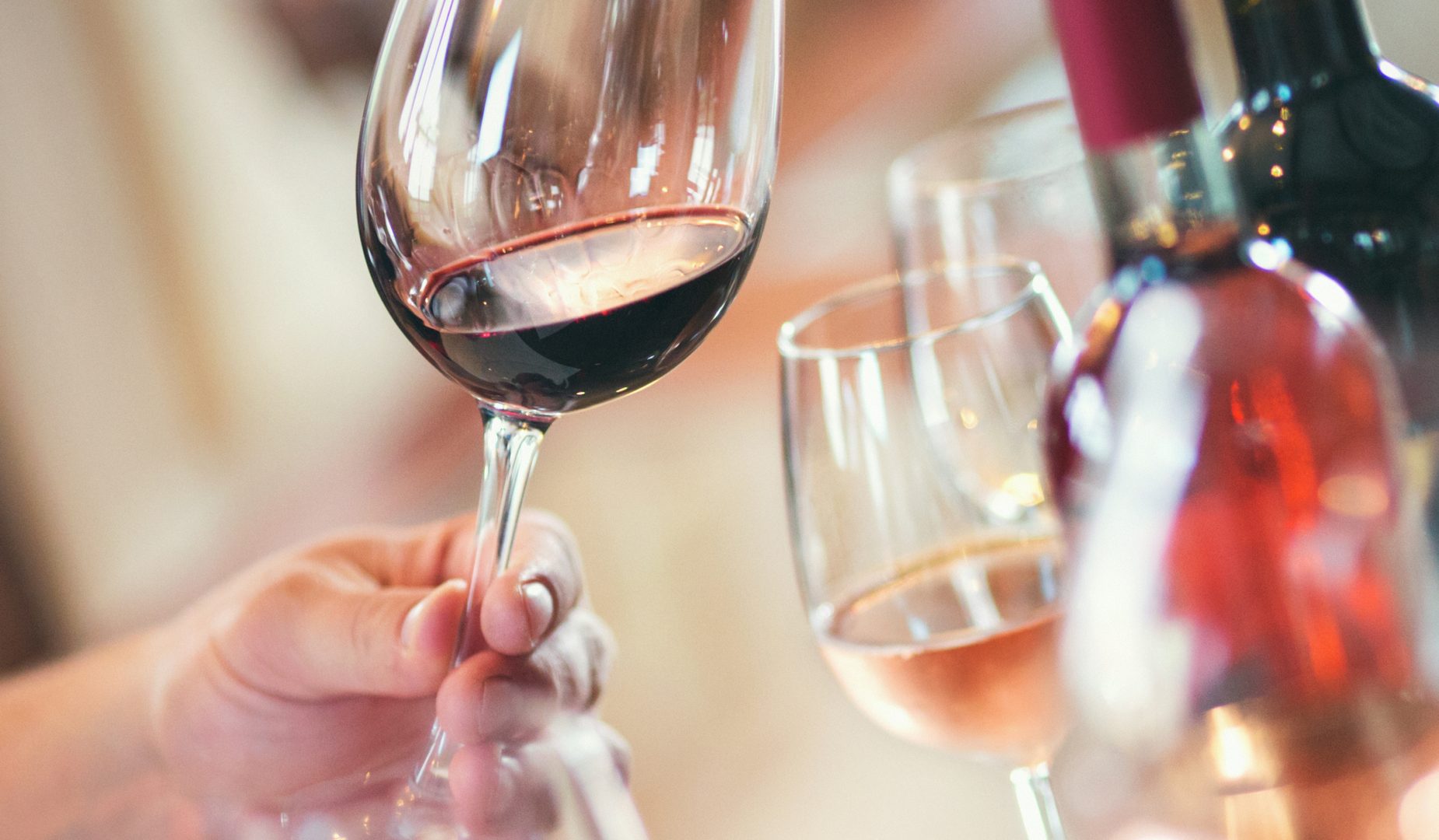 degustazione di vini