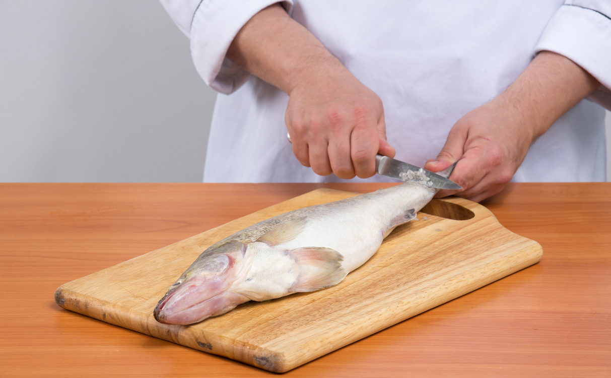 coltelli per la pulizia del pesce