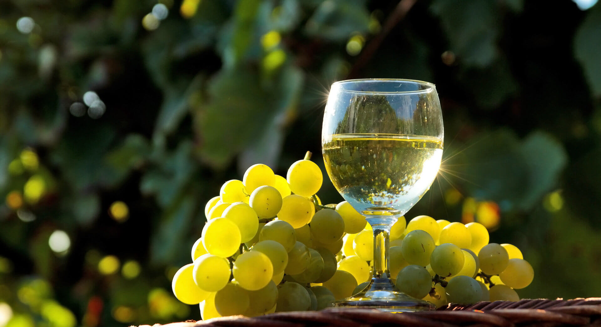 Bicchiere di vino bianco