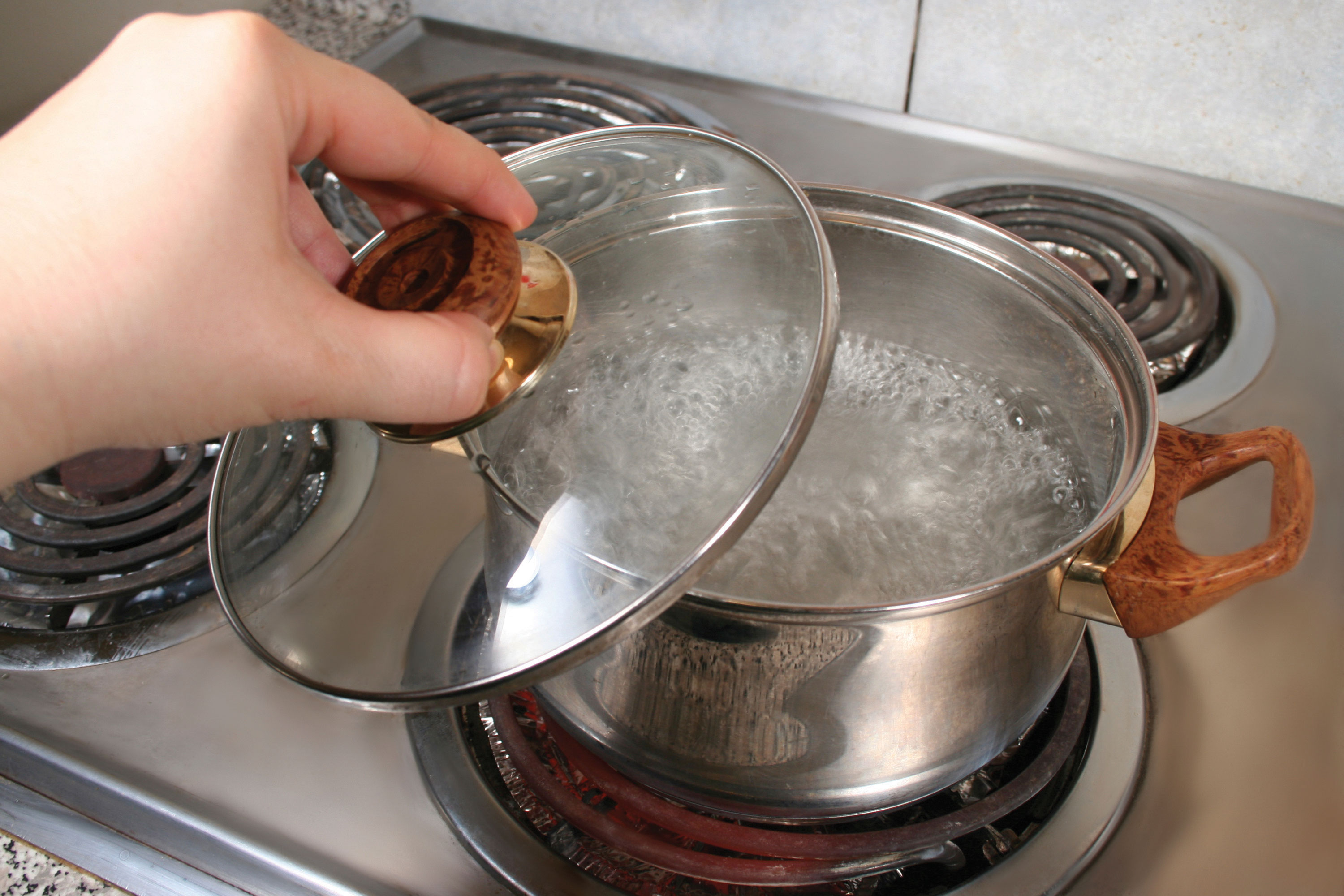 pentola in acciaio inox con coperchio