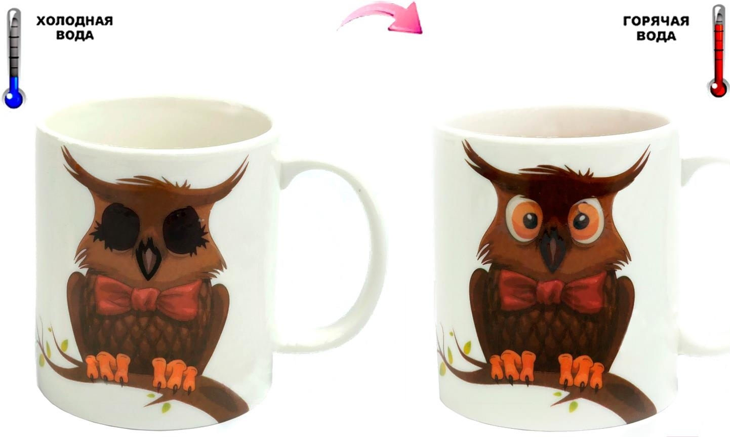tazza gufo camaleonte