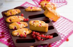 biscotti da stampi in silicone