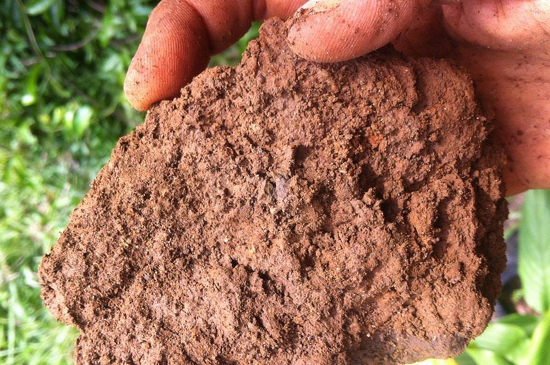 terreno argilloso
