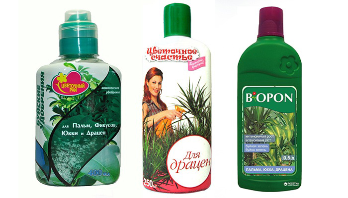 Fertilizzanti liquidi per dracena
