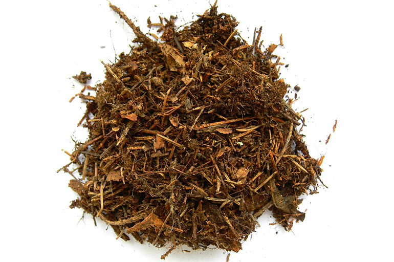 Terreno fogliare