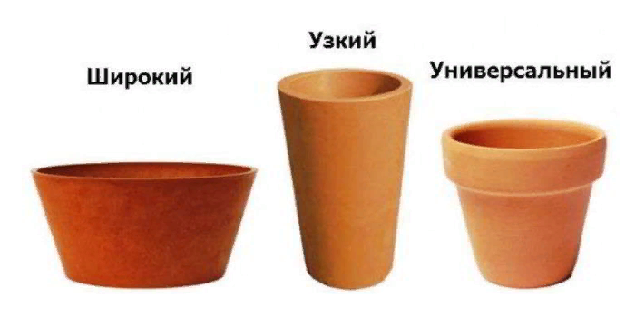 Dimensioni del vaso